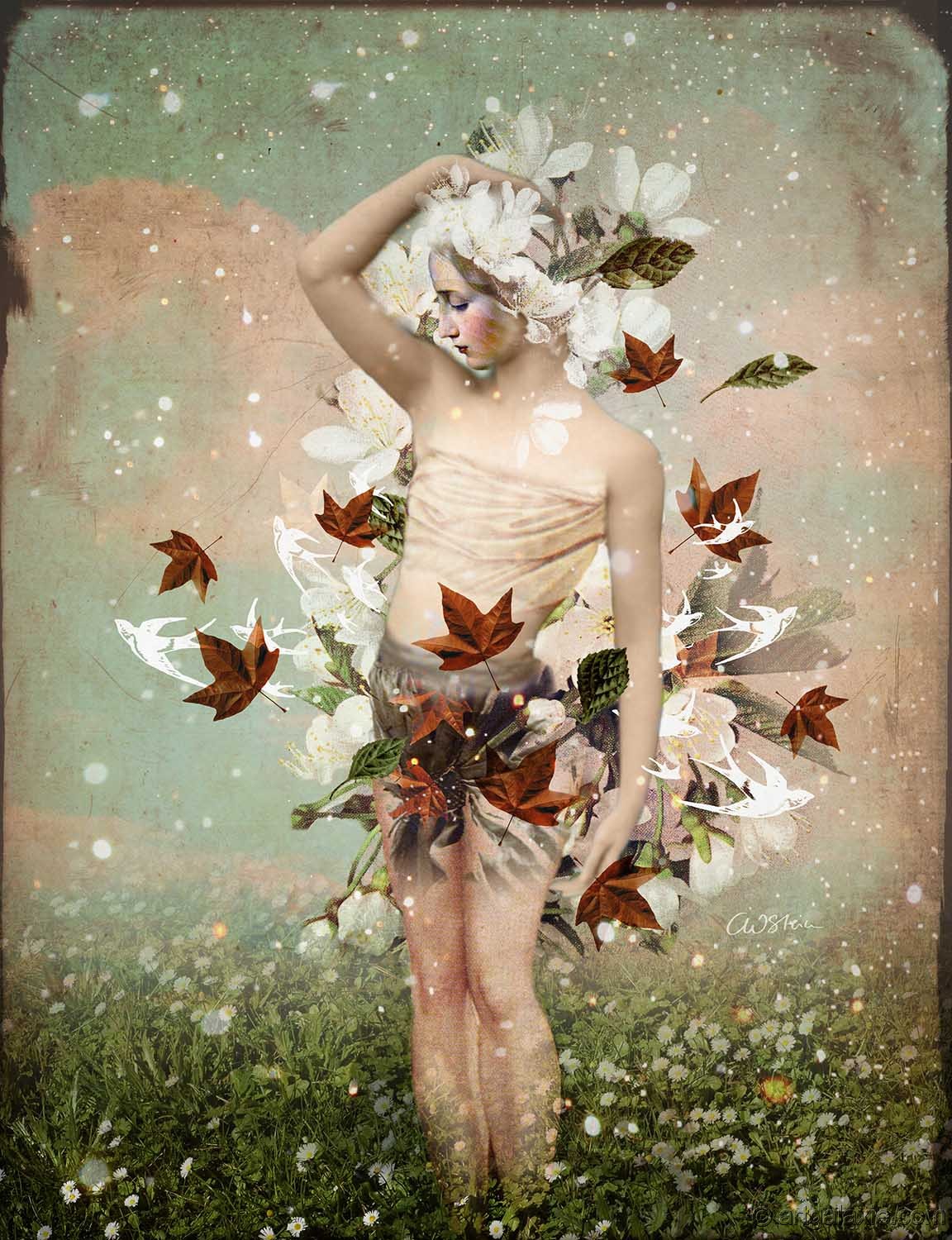 The Curious World Of Catrin Welz Stein 2025 Wall Calendar